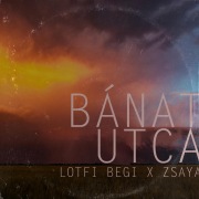 Bánat utca