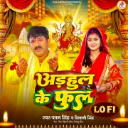 Adahul Ke Phool (Lofi)