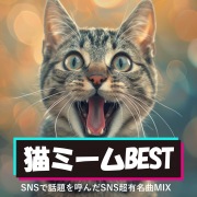 猫ミームBEST～SNSで話題を呼んだ超有名曲MIX～ (DJ MIX)