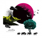 stella