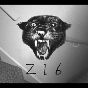 Z16