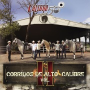 Corridos De Alto Calibre (Vol. II)