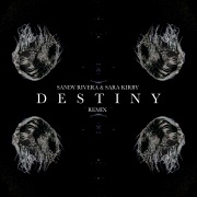 DESTINY (Remix)