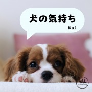 犬の気持ち