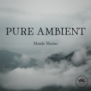 PURE AMBIENT