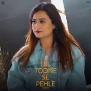 Dil Todne Se Pehle (Cover Version)