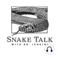 44 | Snakes of the United Kingdom and the Amphibian and Reptile Conservation Trust