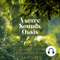 Dancing Water, Gentle River Sounds & A Relaxing Babbling Brook | 1 Hour Of Nature Sounds For Sleep, Meditation, Stress Relief, Relaxation Or Focus | S...