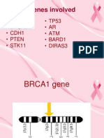 Genetics of Breast Cancer