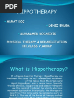 HİPPOTHERAPY