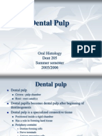 Dental Pulp