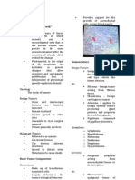 Neoplasia 1 Pre Lab Lectures