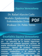 Encefalitis Equina Venezolana Dr. Alarcon