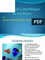 Taller Semana 1 Anatomia de Los Peces