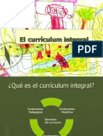 Curriculum Integral