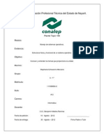 Estructura Fisica y Funcional de Un Sistema Operativo.