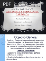 Anatomía Cardíaca