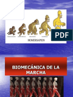 Biomecánica de La Marcha