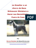 Como Enseñar A Un Cachorro de Raza Schnauzer Miniatura A Hacer Sus Necesidades Fuera de Casa