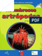 Asombrosos Artropodos