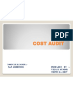 Cost Audit