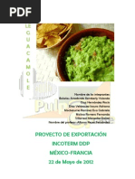 PROYECTO DE EXPORTACIÓN DE GUACAMOLE A FRANCIA - Terminado