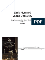 Early Hominid Visual Discovery