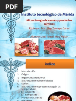 Microbilogia de La Carne