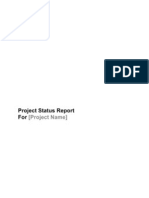 Execution Template - Project Status Report