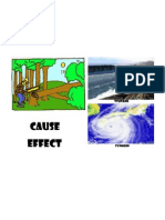 Cause Effect: Illegal Logging