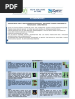 Ficha de Pausas Activas