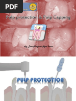 L 3pulp Protection Pulp Capping