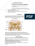 1207664938.evaluación de La Pelvis Materna