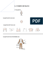 Examen El Cuerpo Humano Adaptado 3º