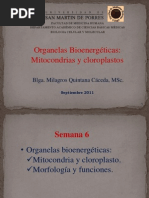 CLASE 6 - Organelas Bioenergeticas, Mitocondrias y Cloroplastos