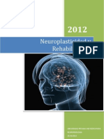 Seminario 2 Neuroplasticidad