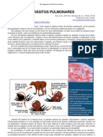 137-Parasitos Pulmonares