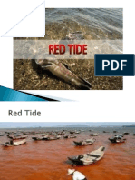 FINAL Redtide & RABIES PPT Ko