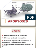 Apoptosis CQ