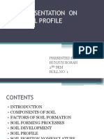 Soil Profile