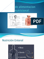 Vias de Alimentacion Nutricional