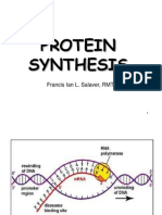 DNA Translation