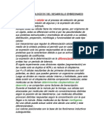 Mecanismos Biologicos Del Desarrollo