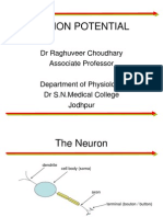 Action Potential: DR Raghuveer Choudhary Associate Professor