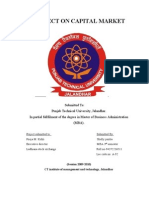 Capital Market Project PDF