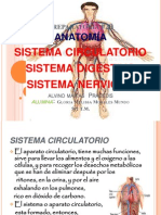 Anatomia: Sistema Sirculatorio, Digestivo Ynervioso