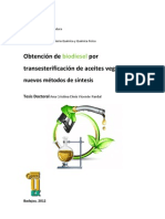 Biodiesel Transesterificacion