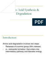 Amino Acid Synthesis & Degradation