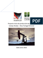 Proyecto Inicio de Producción de Petróleo Campo Alcoba2