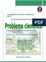 Problema Cientifico (1) .Docfinal